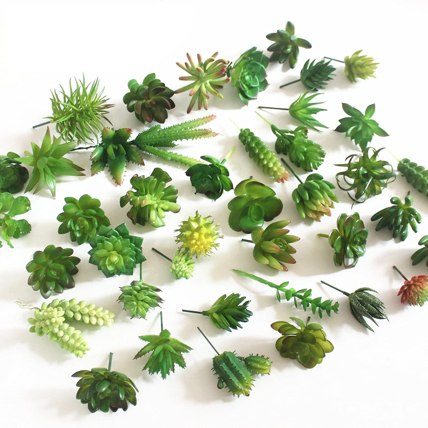 15 piante grasse artificiali d - Echeveria Succulent recensione e prezzo