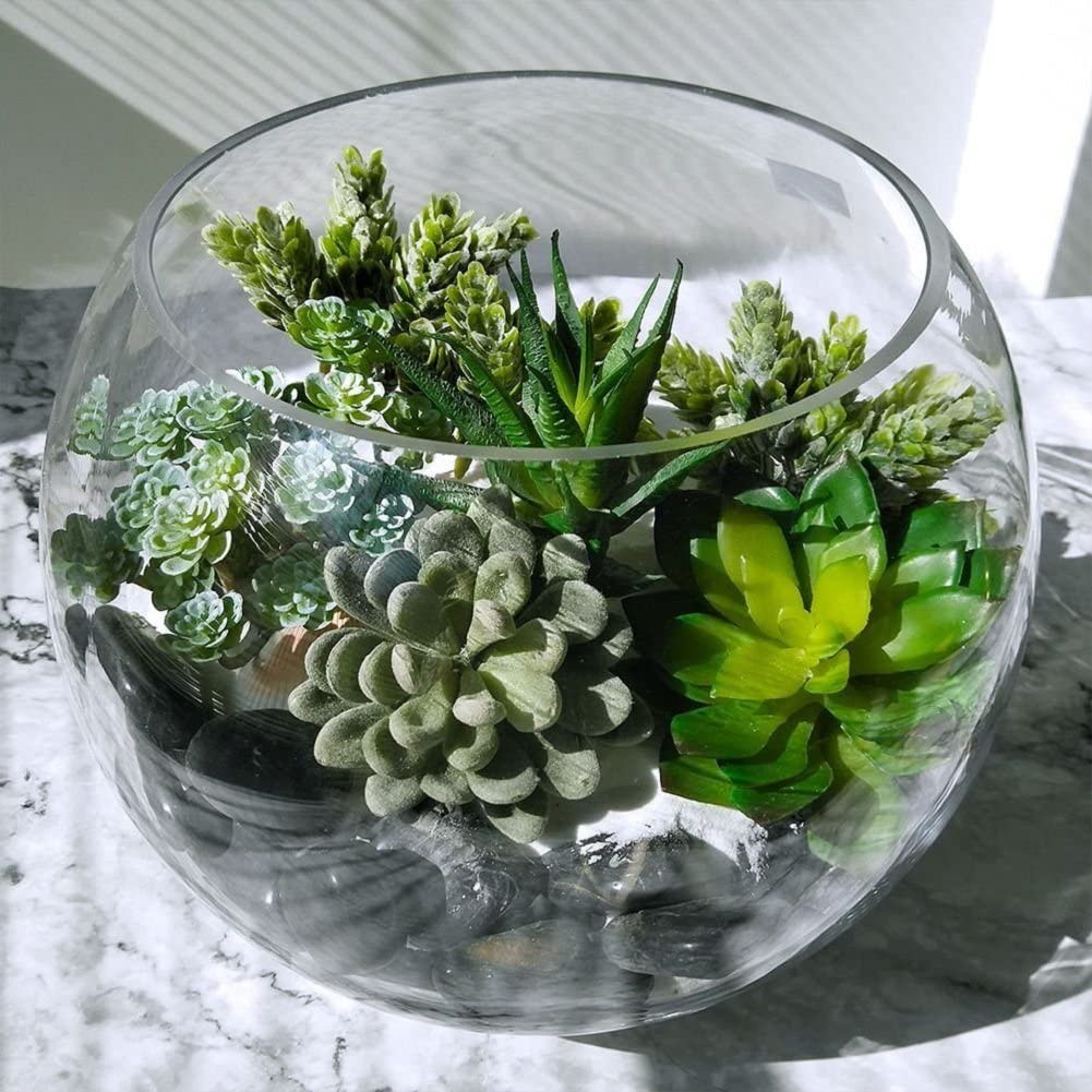 15 piante grasse artificiali d - Echeveria Succulent recensione e prezzo