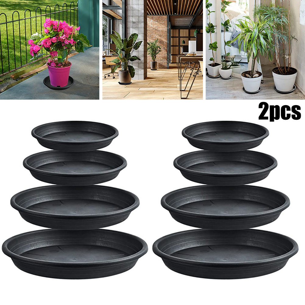 2 pezzi vassoi per piante roto - Echeveria Succulent recensione e prezzo