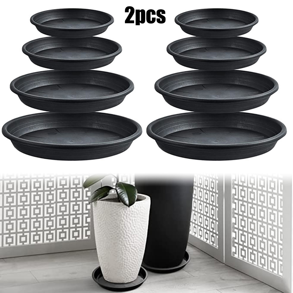 2 pezzi vassoi per piante roto - Echeveria Succulent recensione e prezzo
