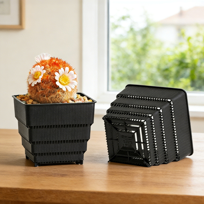 MESHPOT Set di 6 Vasi Quadrati - Echeveria Succulent recensione e prezzo