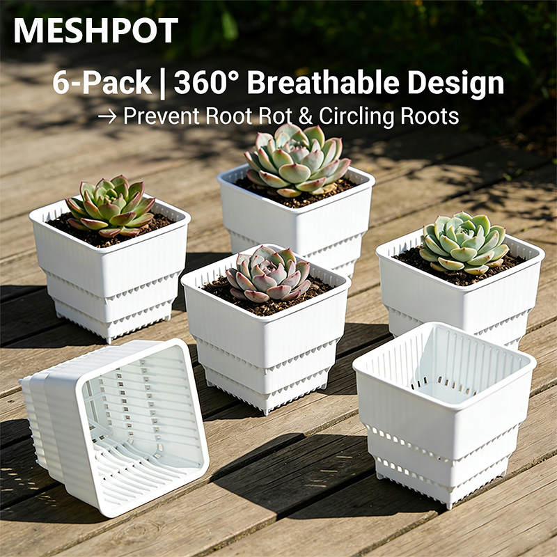 MESHPOT Set di 6 Vasi Quadrati - Echeveria Succulent recensione e prezzo