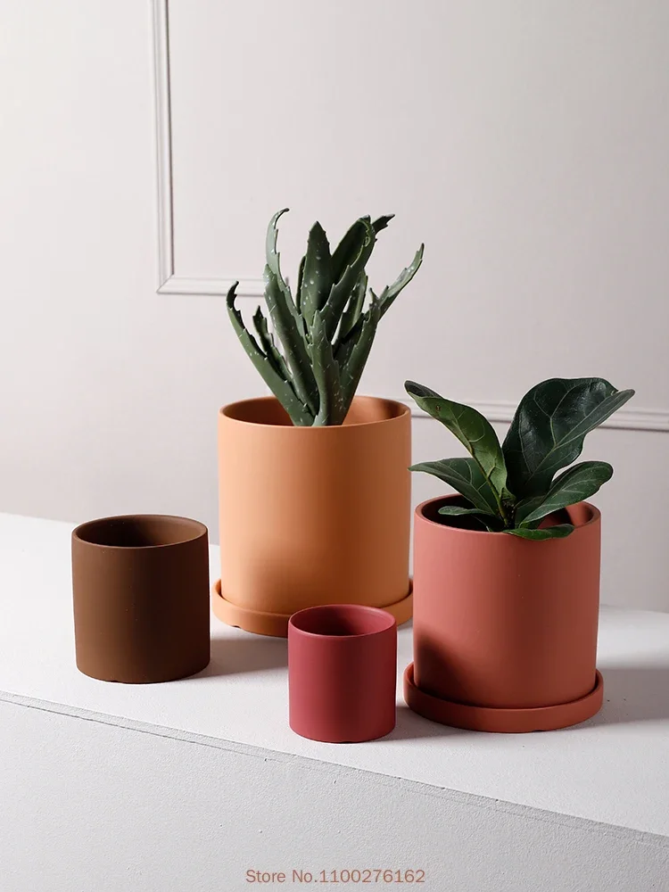 1pc nuovo vaso da fiori in cer - Echeveria Succulent recensione e prezzo