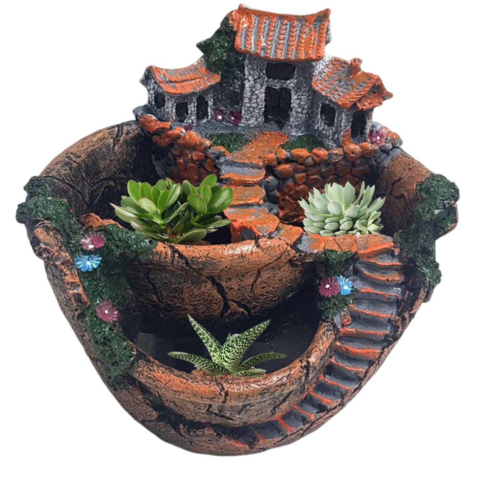 Vaso per Piante Grasse Vintage - Echeveria Succulent recensione e prezzo