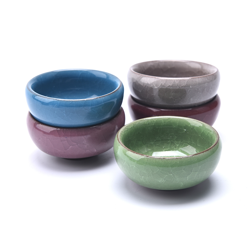 Simpatica crepa di ghiaccio sm - Echeveria Succulent recensione e prezzo