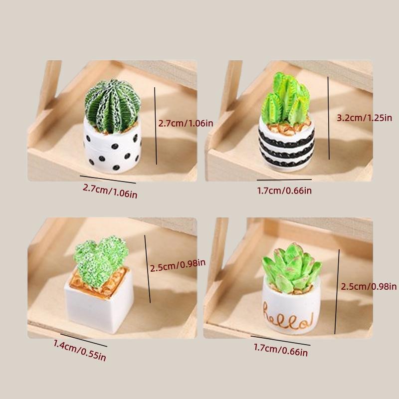 Set di 4 Piante Succulente di  - Echeveria Succulent recensione e prezzo