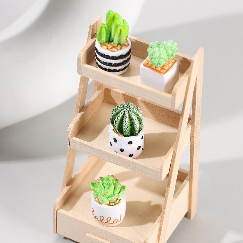 Set di 4 Piante Succulente di  - Echeveria Succulent recensione e prezzo